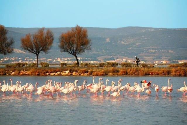 Appart Beziers Plage Kültér fotó
